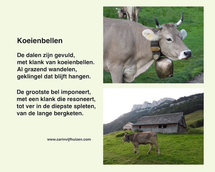 COW BELLS